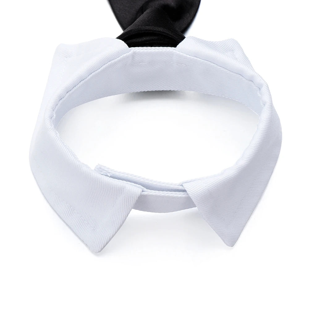 2-in-1 Pet Collar & Bow Tie Set