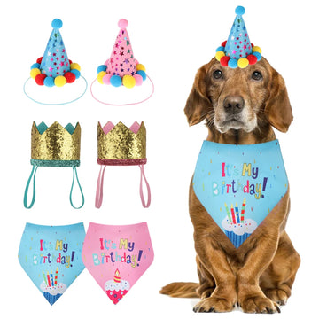 Cute Pet Hat & Bib Party Set