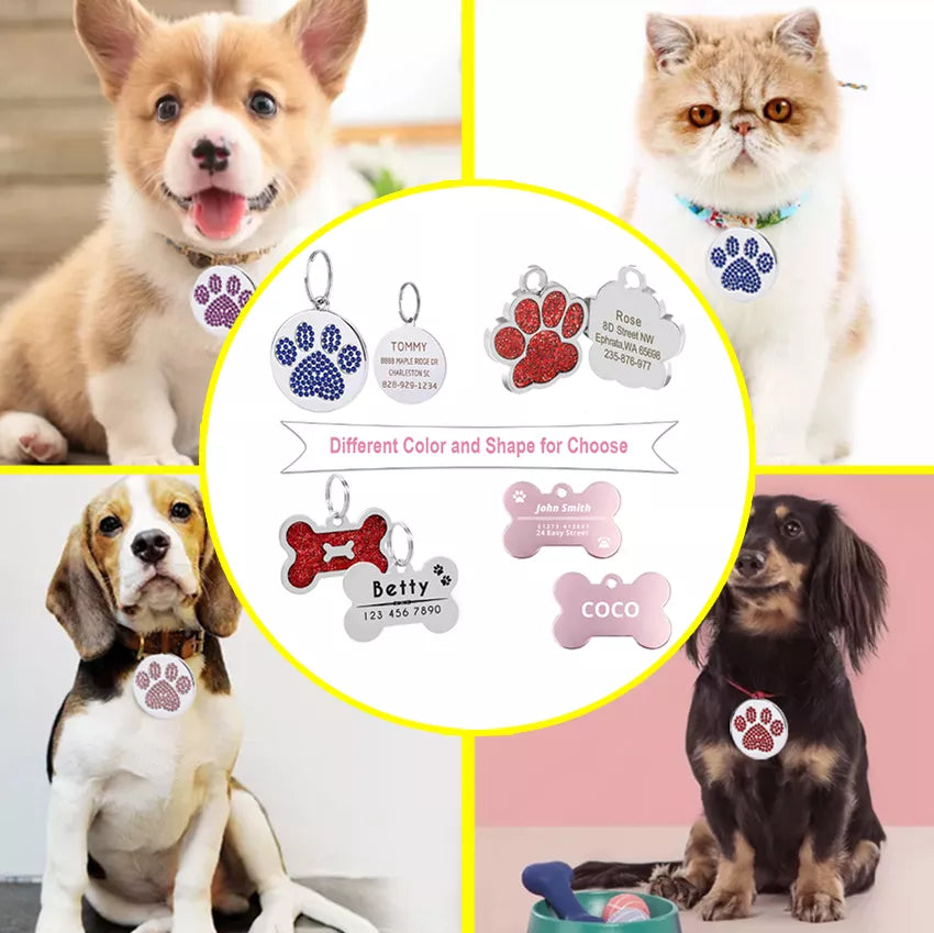 Personalized Address Tags for Pets - Cats & Dogs