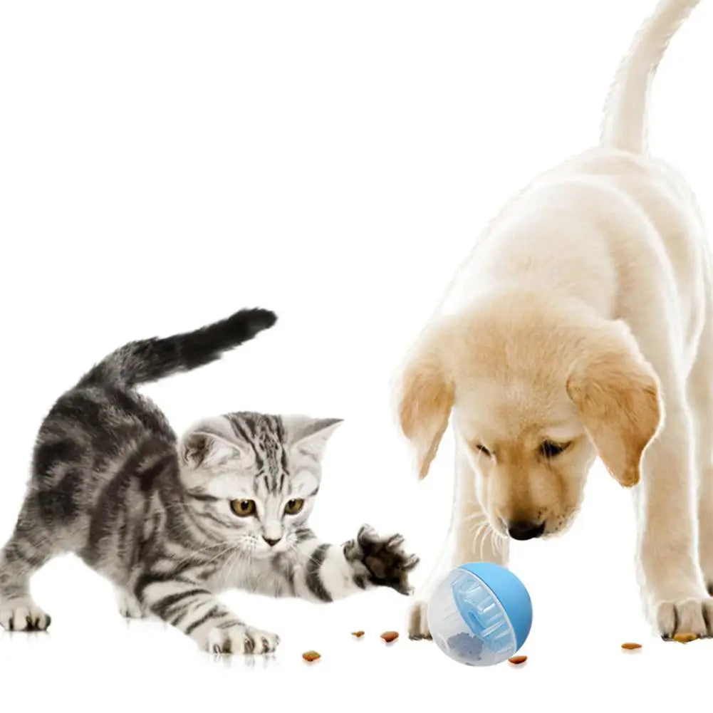 Pet Interactive Slow Feeding Balls