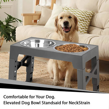 Elevated Pet Bowls with Adjustable Stand