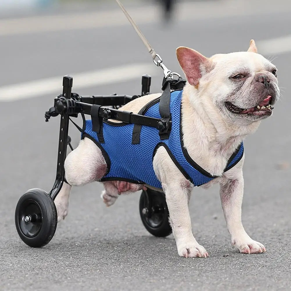 Dog Wheel Chair & Walk Aid