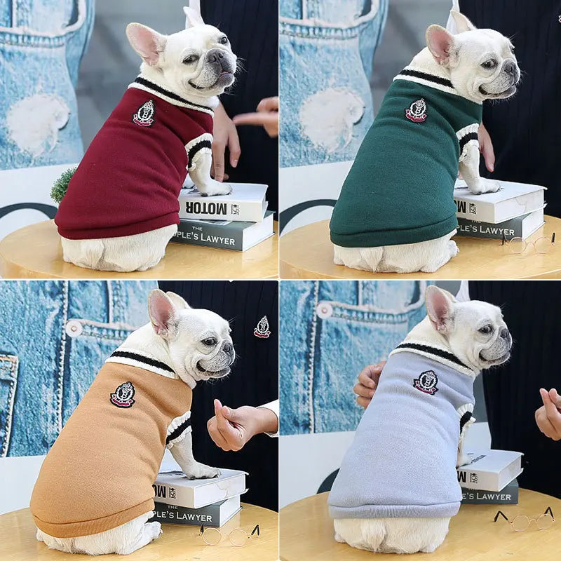 Pet College-Style Sweater