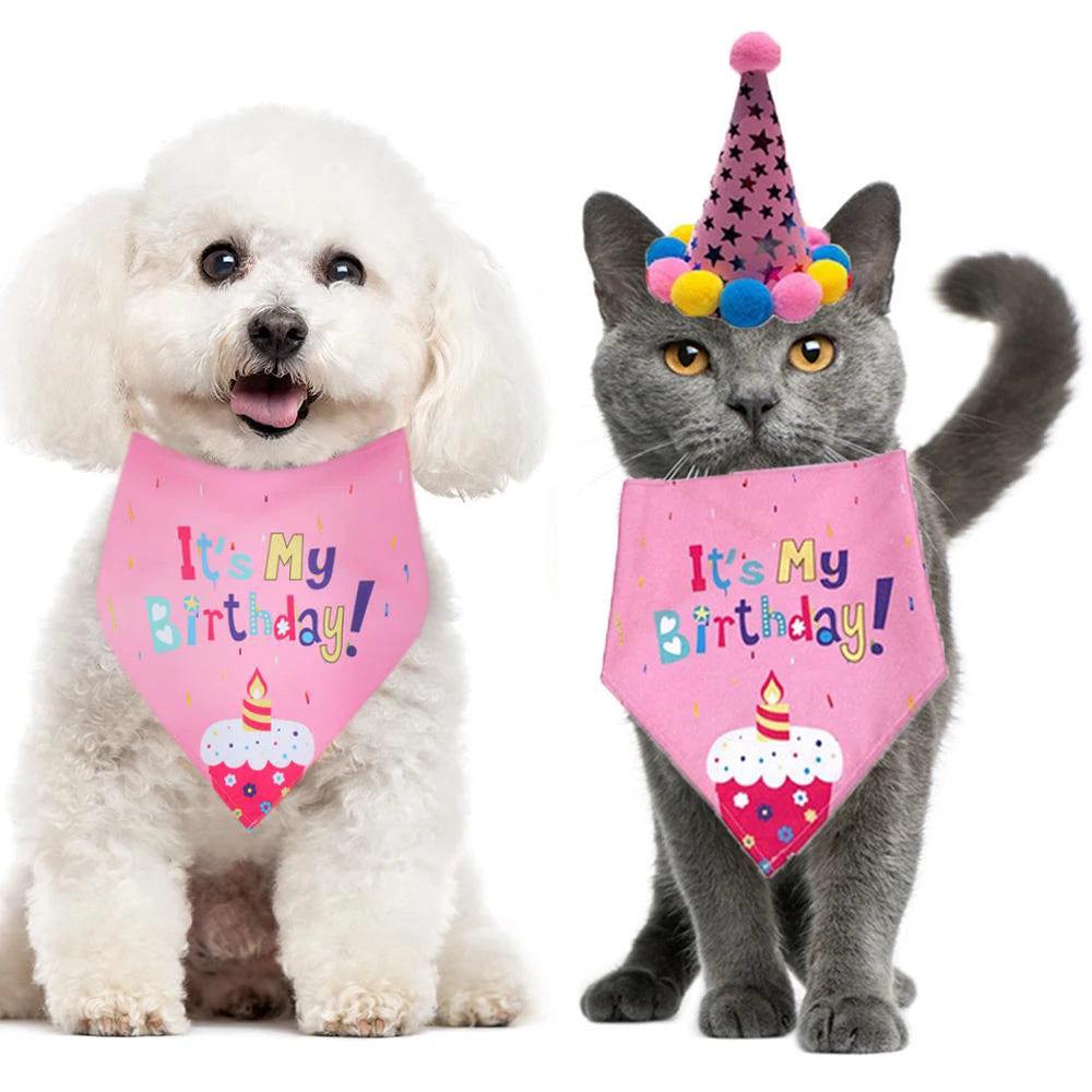 Cute Pet Hat & Bib Party Set