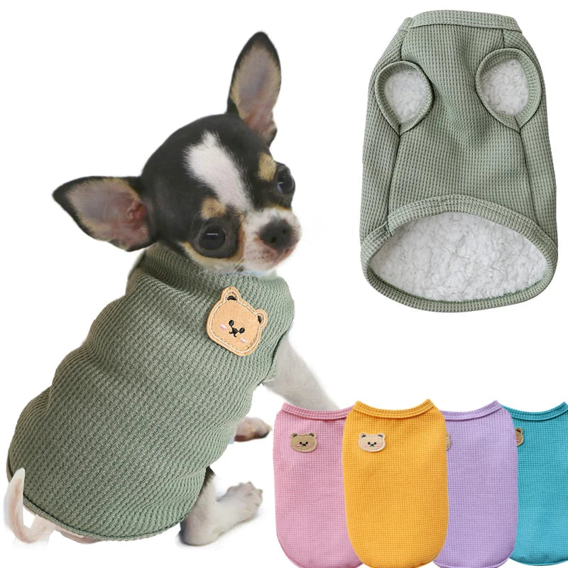 Comfy All-Season Dog Vest