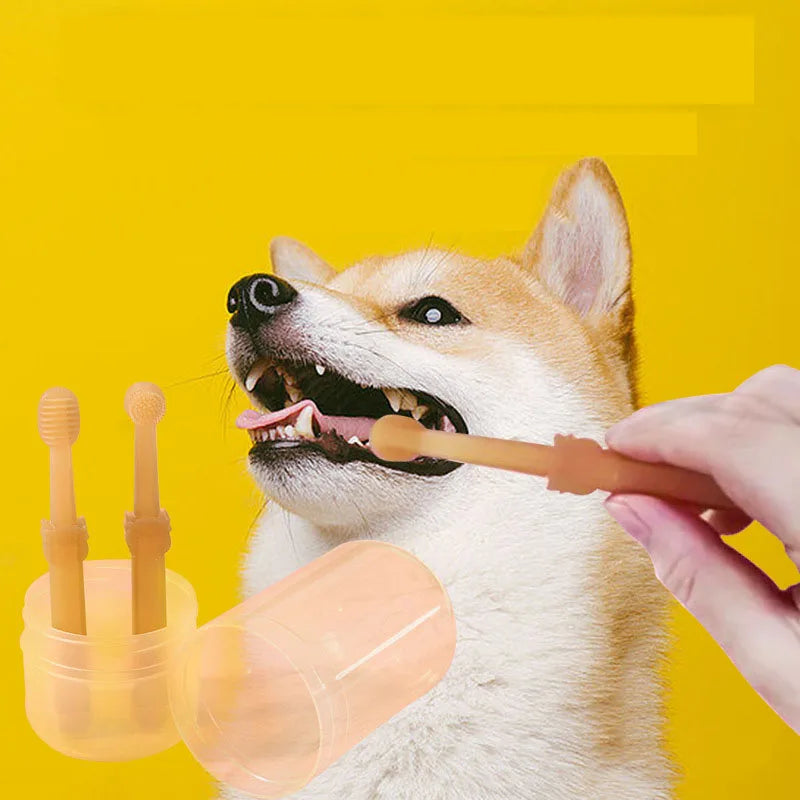 Pet Toothbrush Kit