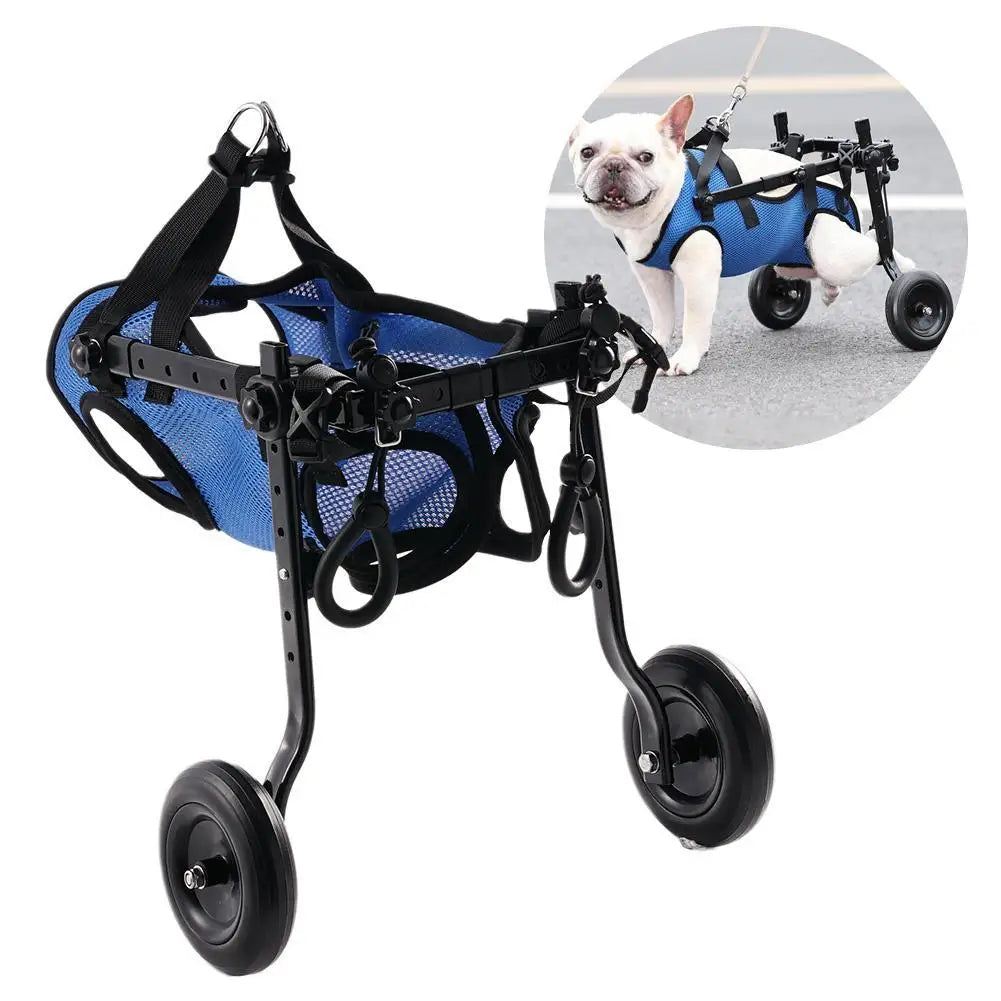 Dog Wheel Chair & Walk Aid