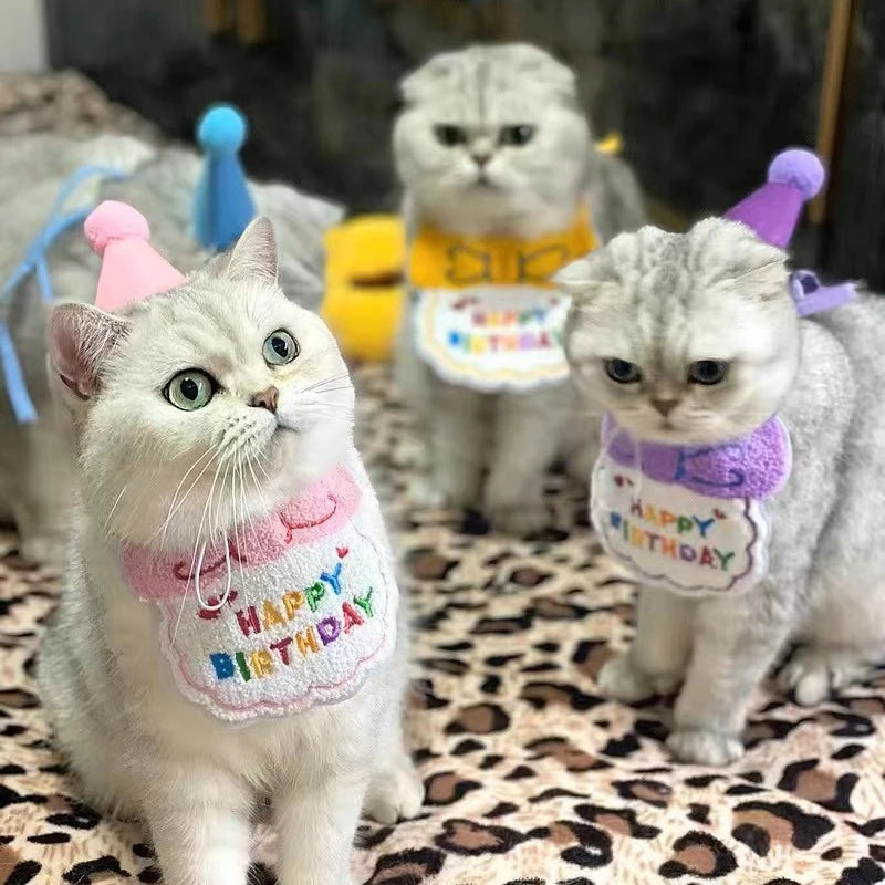 Happy Birthday Party Hat and Bib