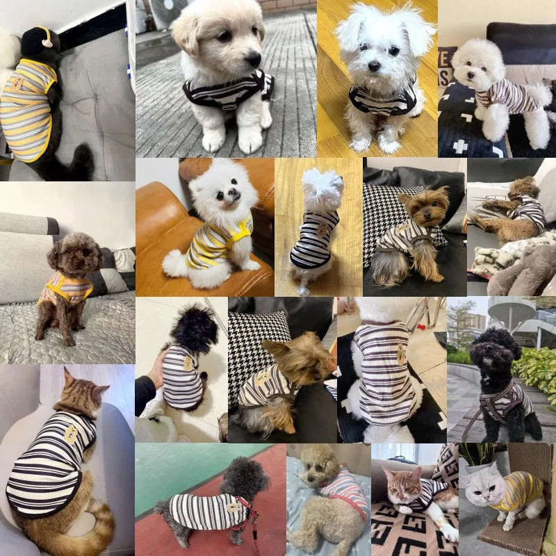 Soft Pet Summer & Lounge Wear