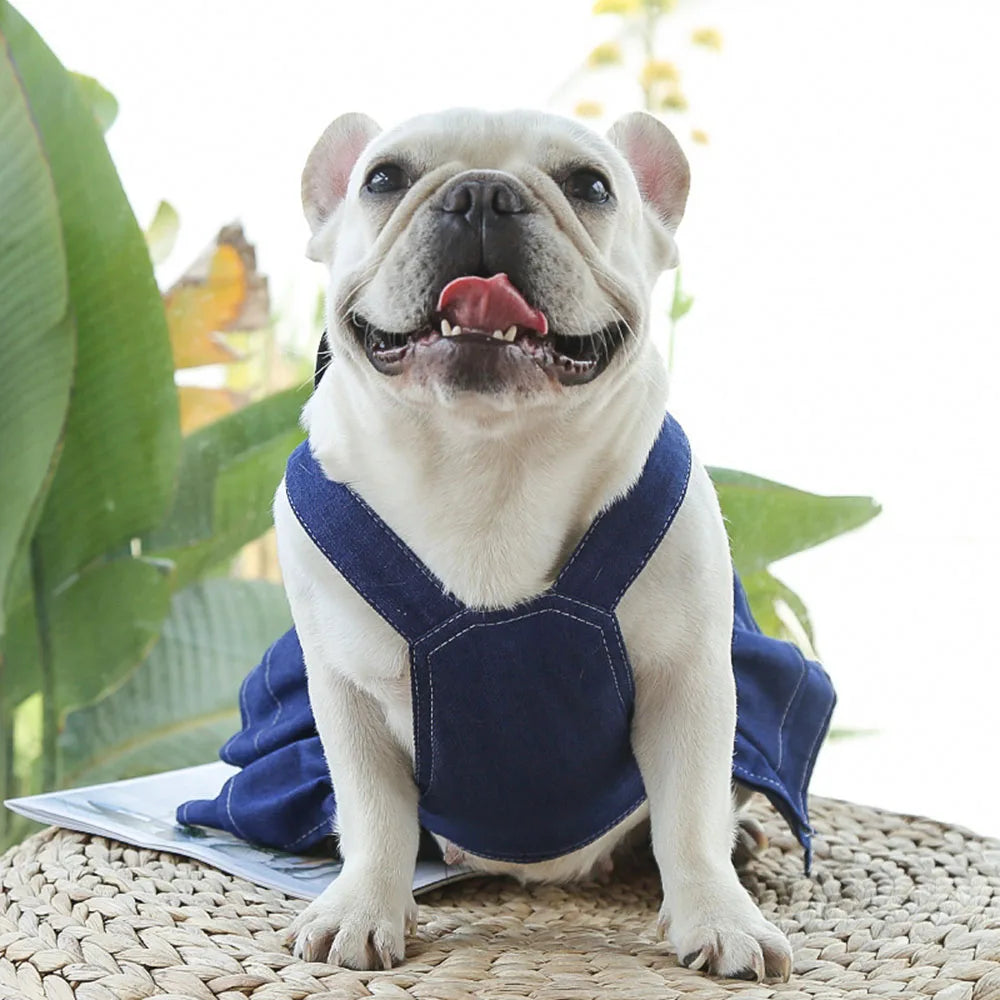 Cute Denim Dog Dress