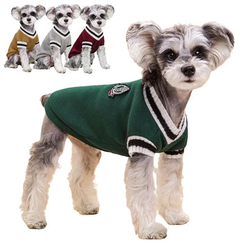 Pet College-Style Sweater