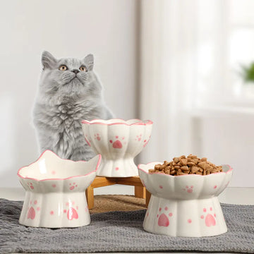 Cat Ceramic Elevated Food Bowl