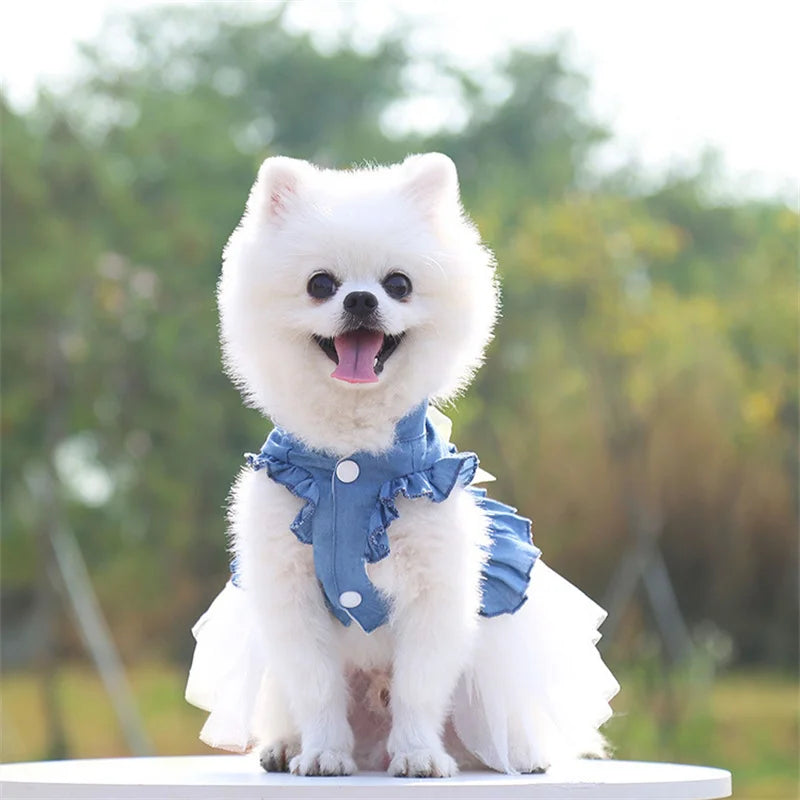 Pretty Pet Princess Dress With Denim and Tulle