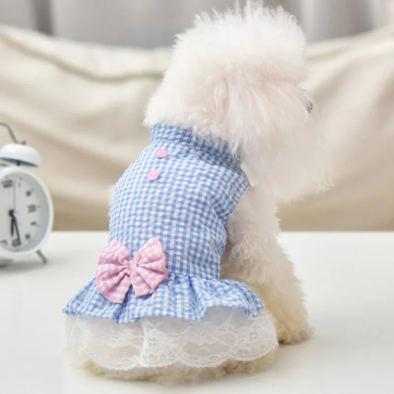 Gorgeous Pet Dress For Special Occasions