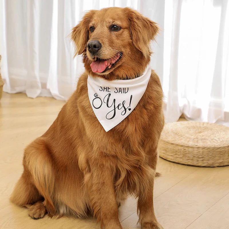 Pet Wedding Bandana